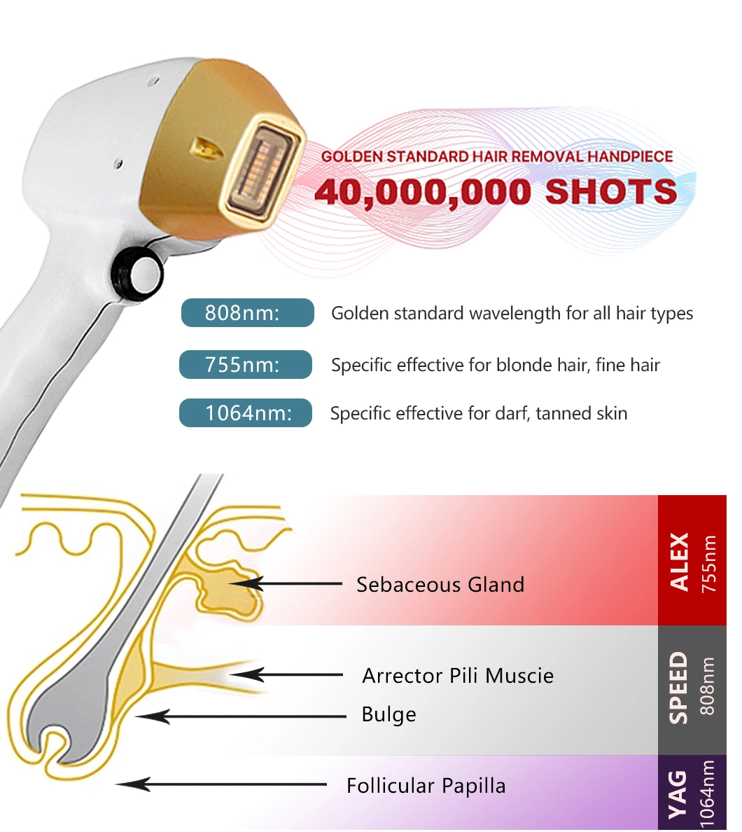 Best Price 755/808/1064 Diode Laser Hair Removal Device